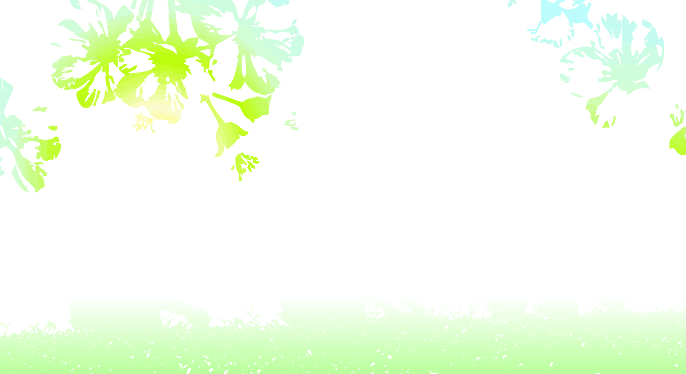 お茶好きに贈る至福の一杯