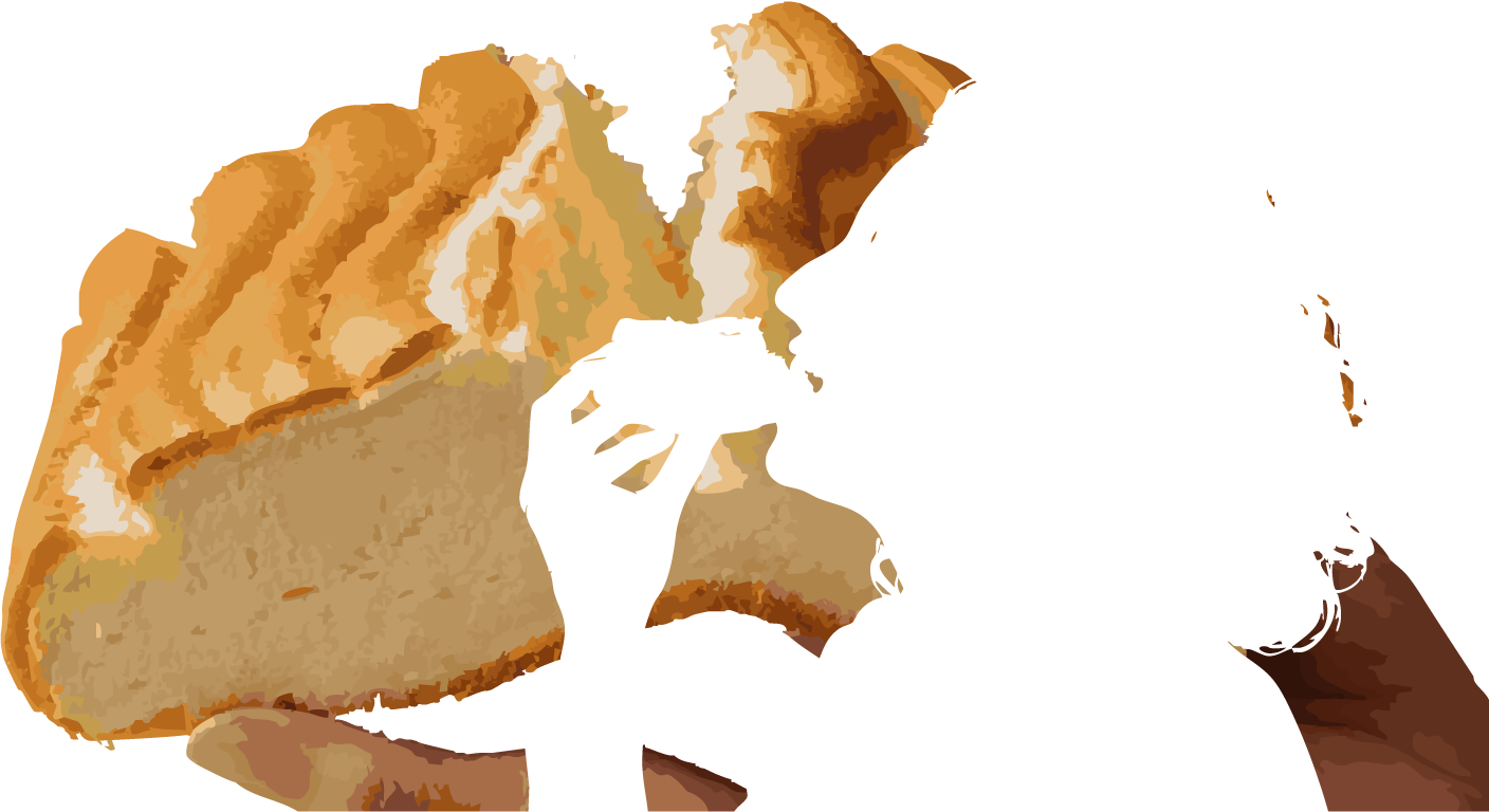 話題の台湾カステラ