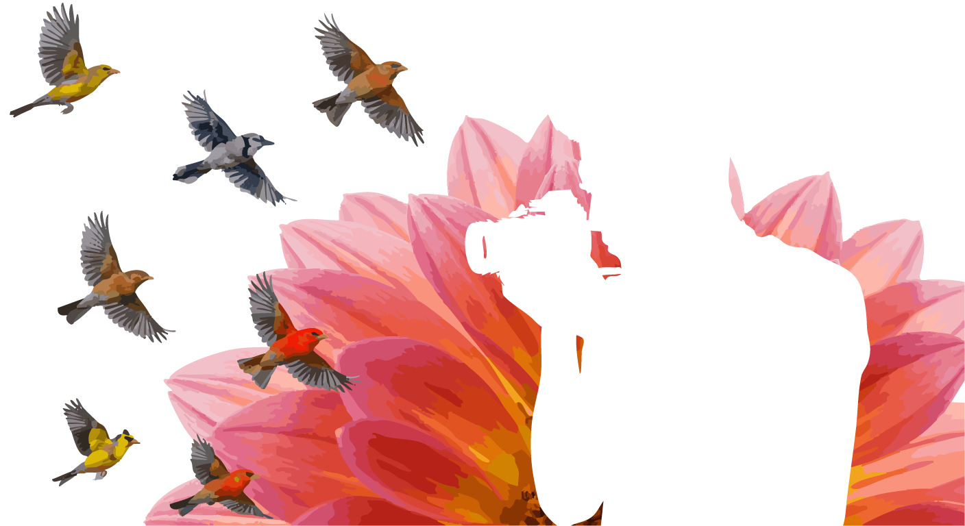 3ステップ！一眼レフ講座