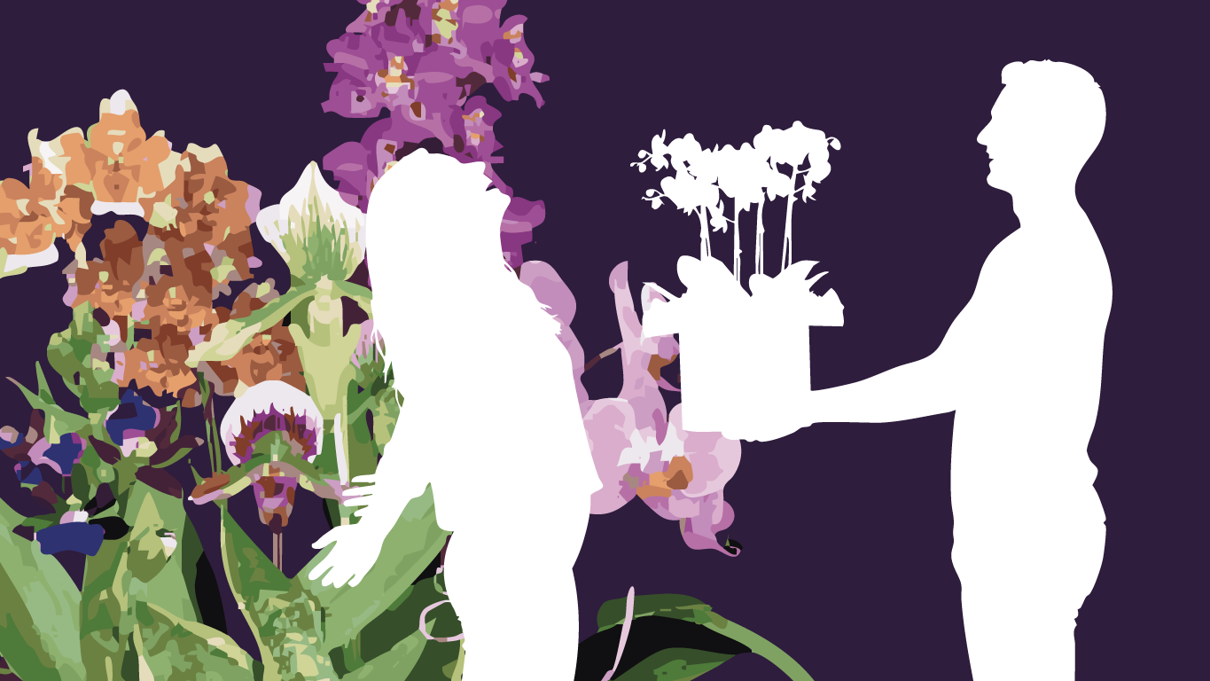 一期一会の蘭ギフト